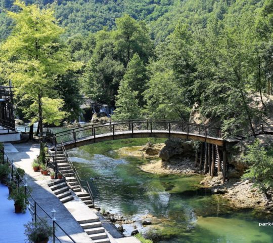 مطعم كوستلسكي بوك مطعم كوستلسكي بوك